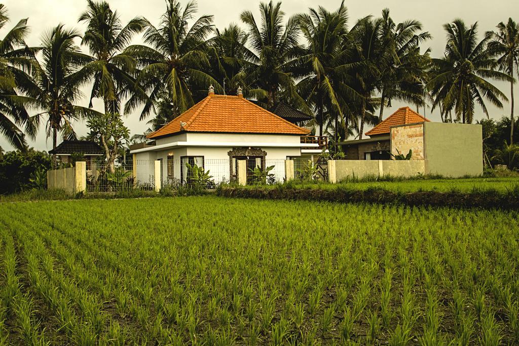 Ubud Lestari Villa Eksteriør billede